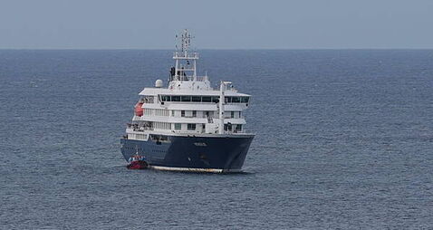 Authorities working to return Irish citizens from virus-hit cruise ship – Martin