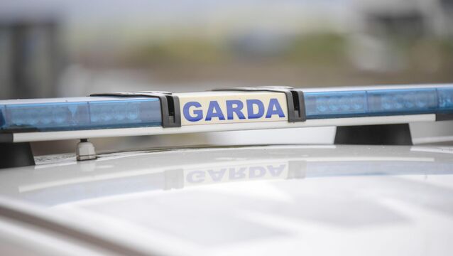 <p>Any road users who were travelling in the area between 3:20pm and 4:15pm on Friday and who may have any information are asked to contact investigating Gardaí.</p>