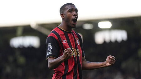 Bournemouth move step nearer European football after battling win over Fulham