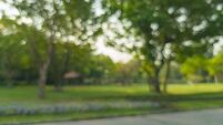 Judge warns park violence 'all too common' as teen admits 'disgraceful' robbery