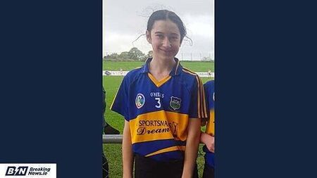 Accomplished Tipperary camoige player (20) named locally as crash victim