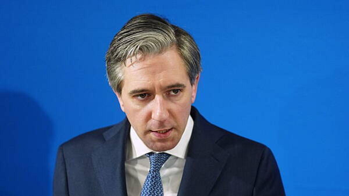 Tánaiste responds after Taoiseach comments on housing