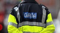 Garda witness appeal following Mayo incident