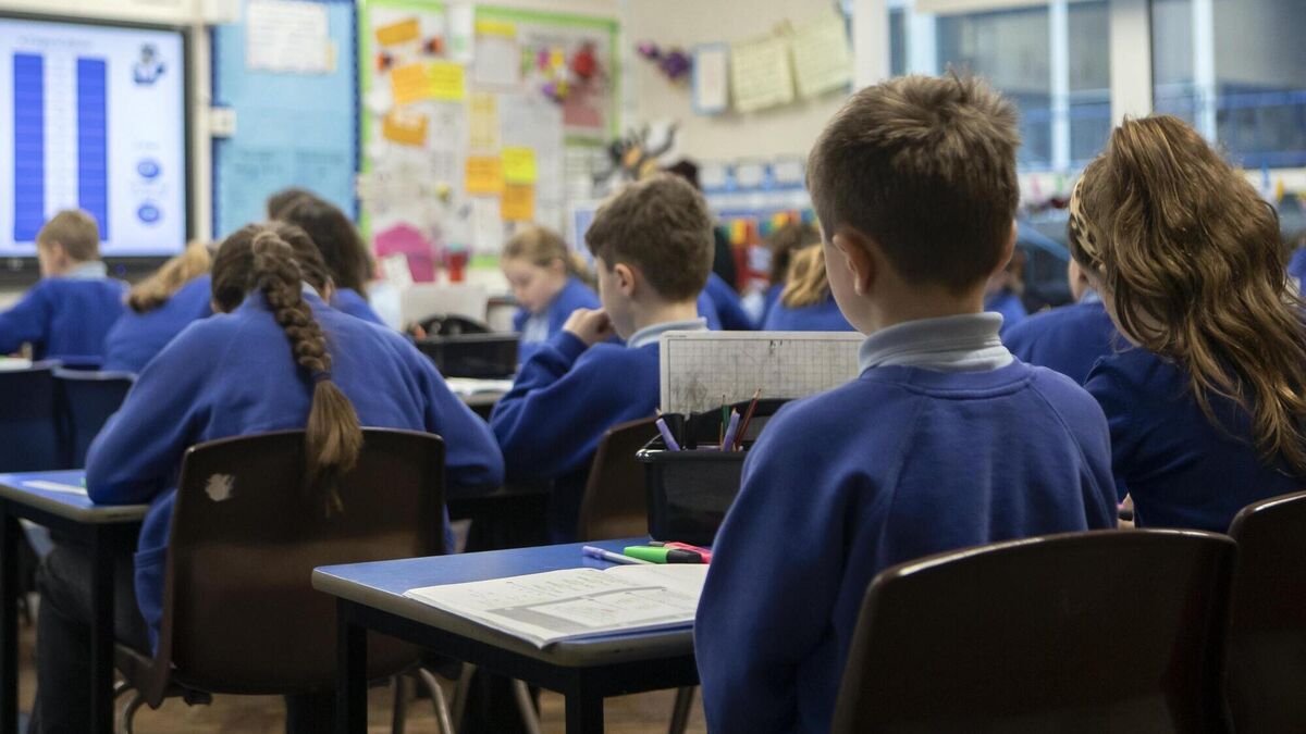 School divestment has failed miserably