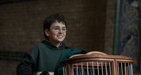 Ginny Weasley role to be recast for second season of new Harry Potter series