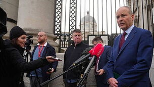 Helen McEntee demands ‘immediate release’ of Irish flotilla detainees