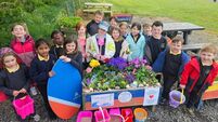Local Notes: Scoil Chriost Ri, Enniscrone 'Seaside Superpower Garden'.