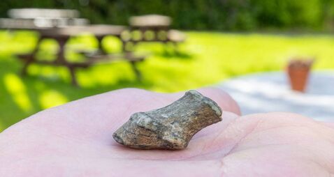 Investigation into 'fossil' find on Mayo estate