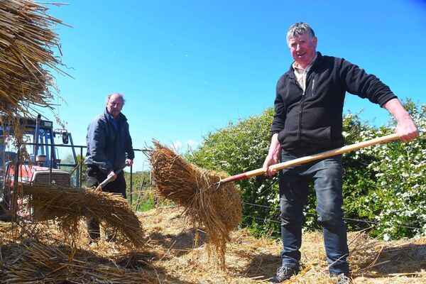 Ian Carroll and Seamus Feeney are pictured helping out with the threshing.