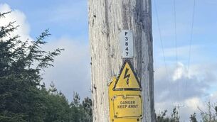 <p>The windfarm notice pinned to the electricity pole in Geesala. Picture: Courtesy of Gerry Coyle</p> <p>The windfarm notice pinned to the electricity pole in Geesala. Picture: Courtesy of Gerry Coyle</p>