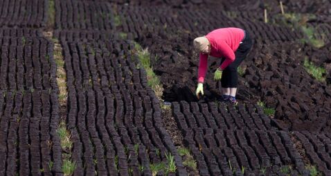 Turf cutters deserve better than directives