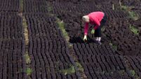 Turf cutters deserve better than directives