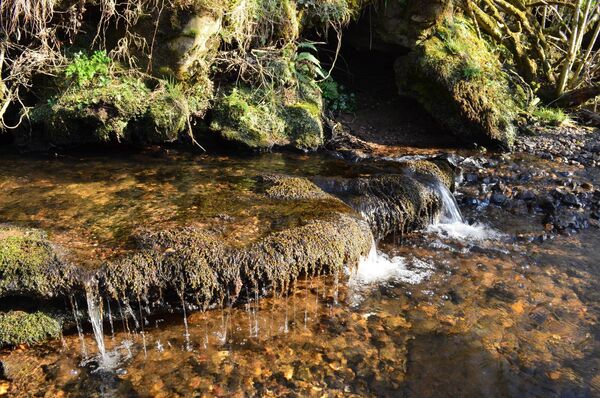 The headwaters of the River Moy in the Ox Mountains. Picture: Pat McCarrick The headwaters of the River Moy in the Ox Mountains. Picture: Pat McCarrick