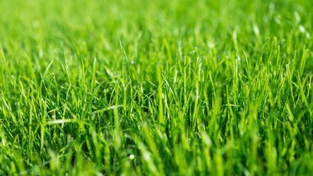 Major Mayo land deal formalised