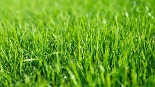 <p>Mayo County Council has formally approved the lease.</p> <p>Mayo County Council has formally approved the lease.</p>