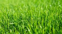 Major Mayo land deal formalised