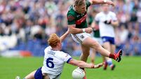 O'Donoghue still holds the compass as future arrives 