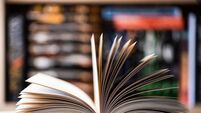 Prestigious award for Mayo author