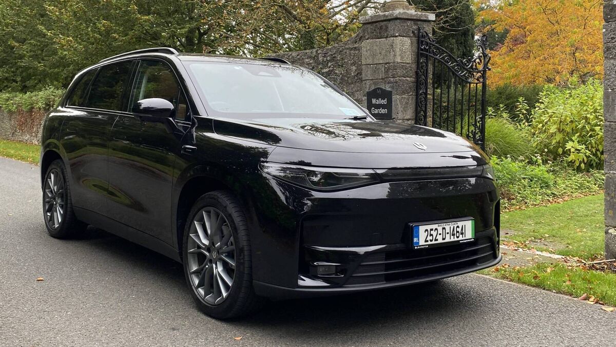 Mixed views on Leapmotor's C10 SUV