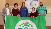 Local Notes: Green Flag for Ardagh National School