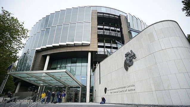 Family 'severely divided' by son's killing of allegedly abusive mother, court hears