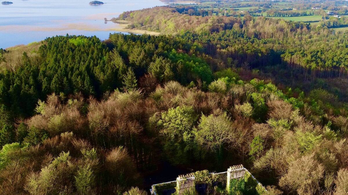 Local Notes: Lough Carra is making a comeback