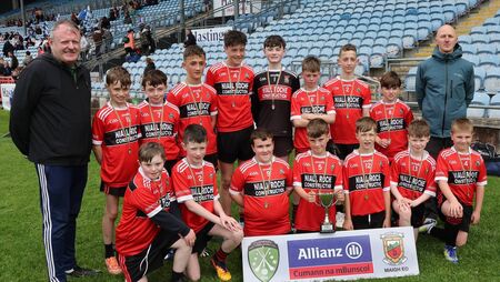 Roche pulls the strings as Irishtown boys run riot