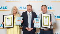 Three Mayo stores receive MACE Excellence Awards