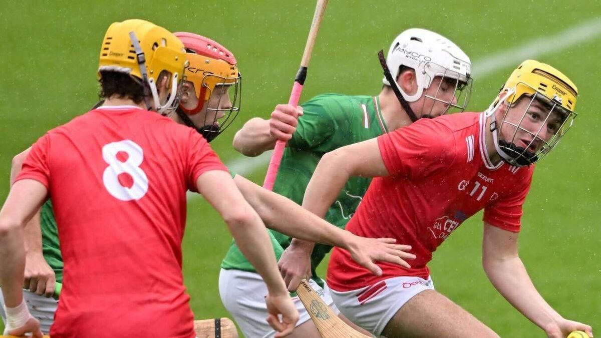 Mayo can't chop the Oak boys down to size