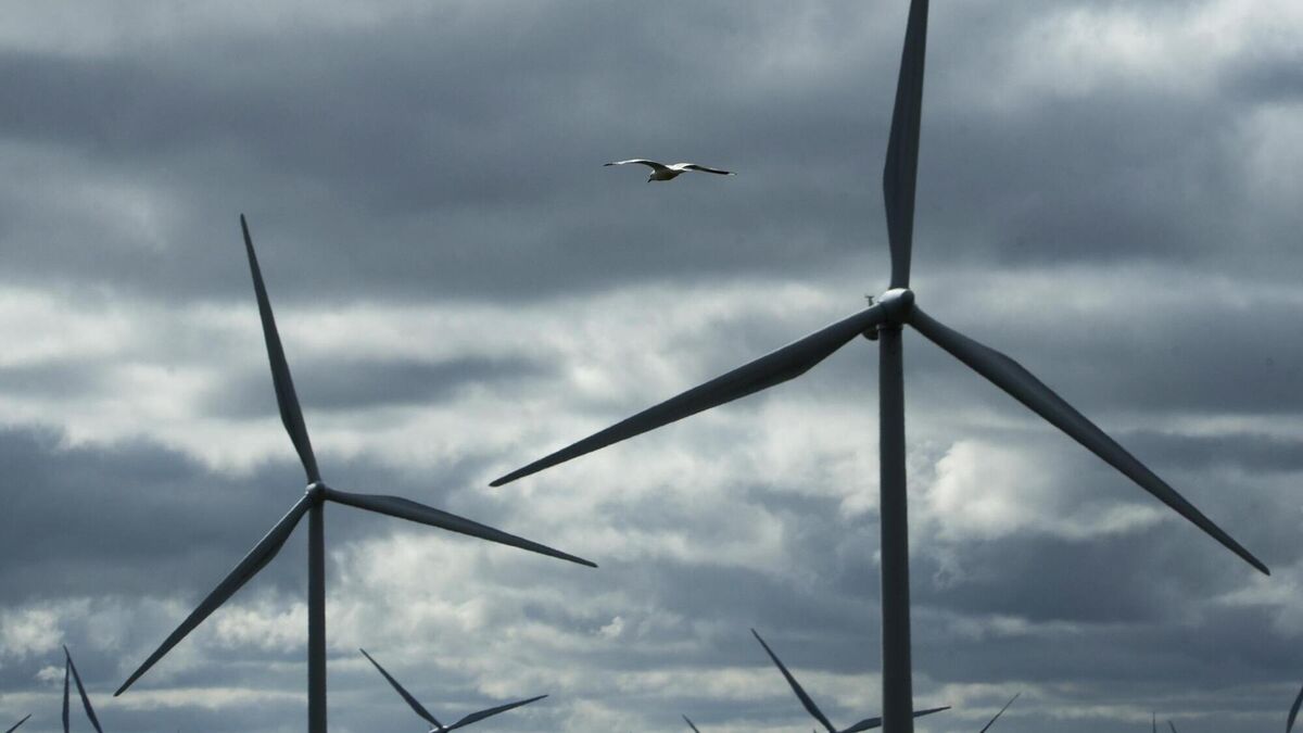 Mayo's windfarm projects may become 'very divisive'