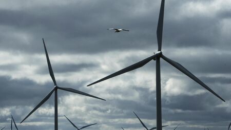 Mayo's windfarm projects may become 'very divisive'