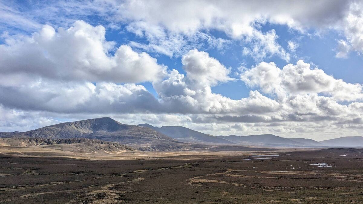 The call of the wild in majestic North Mayo