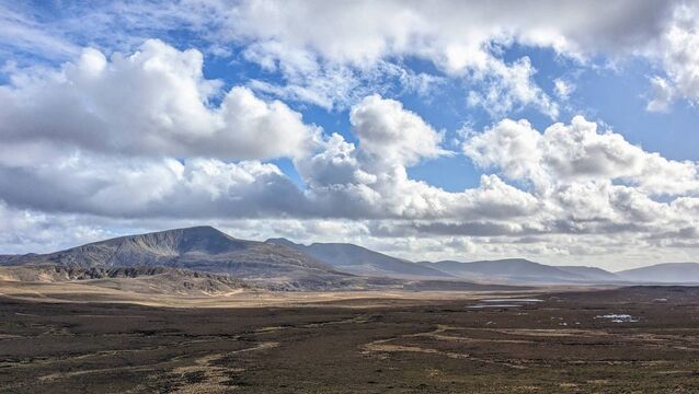 The call of the wild in majestic North Mayo