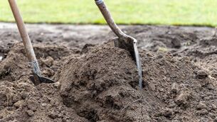 <p>The project marks a major milestone for the Castlebar school, which has grown and evolved over more than a century and is now home to almost 700 students.</p> <p>The project marks a major milestone for the Castlebar school, which has grown and evolved over more than a century and is now home to almost 700 students.</p>