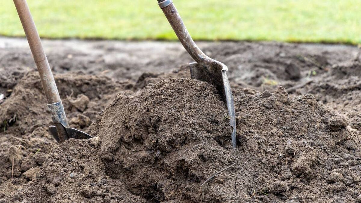 Sod turning for major Mayo school extension project today