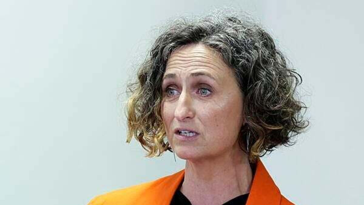 Sinn Féin MEP sues Government over EU-Canada trade deal law