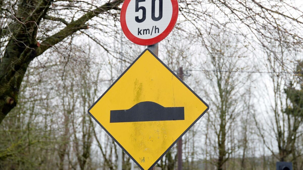 Speed ramps sought for road at rear of Mayo estate