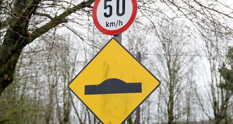Speed ramps sought for road at rear of Mayo estate