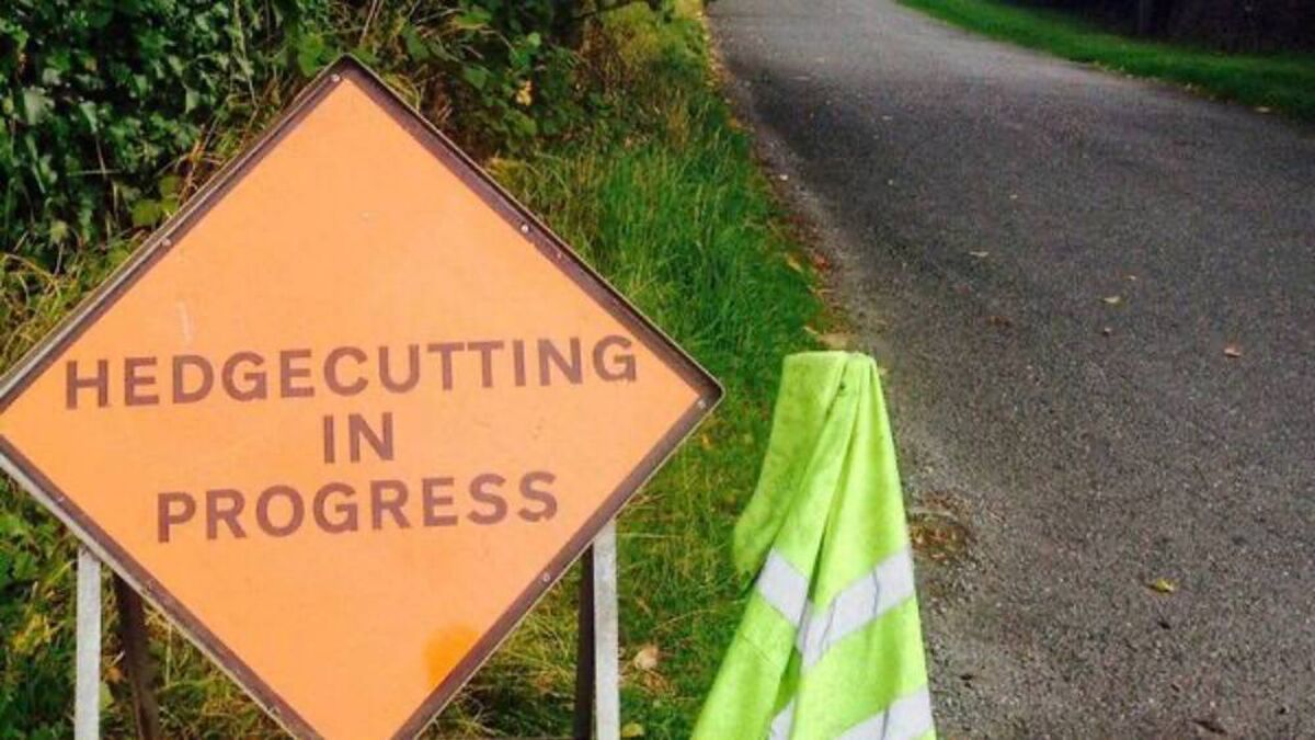 Councillor seeks cutting of overgrown verges on busy road