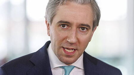 Security during EU presidency ‘taken extremely seriously’, Tánaiste says
