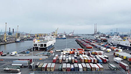 Domestic economy continues to perform despite global challenges — ESRI