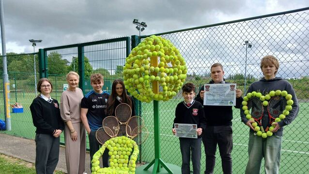 Local Notes: Ballina students create unique artwork