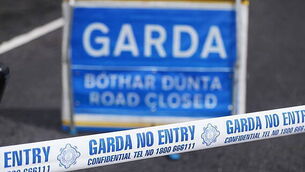 Leinster House bike shed had no value for money assessment before work began, report finds