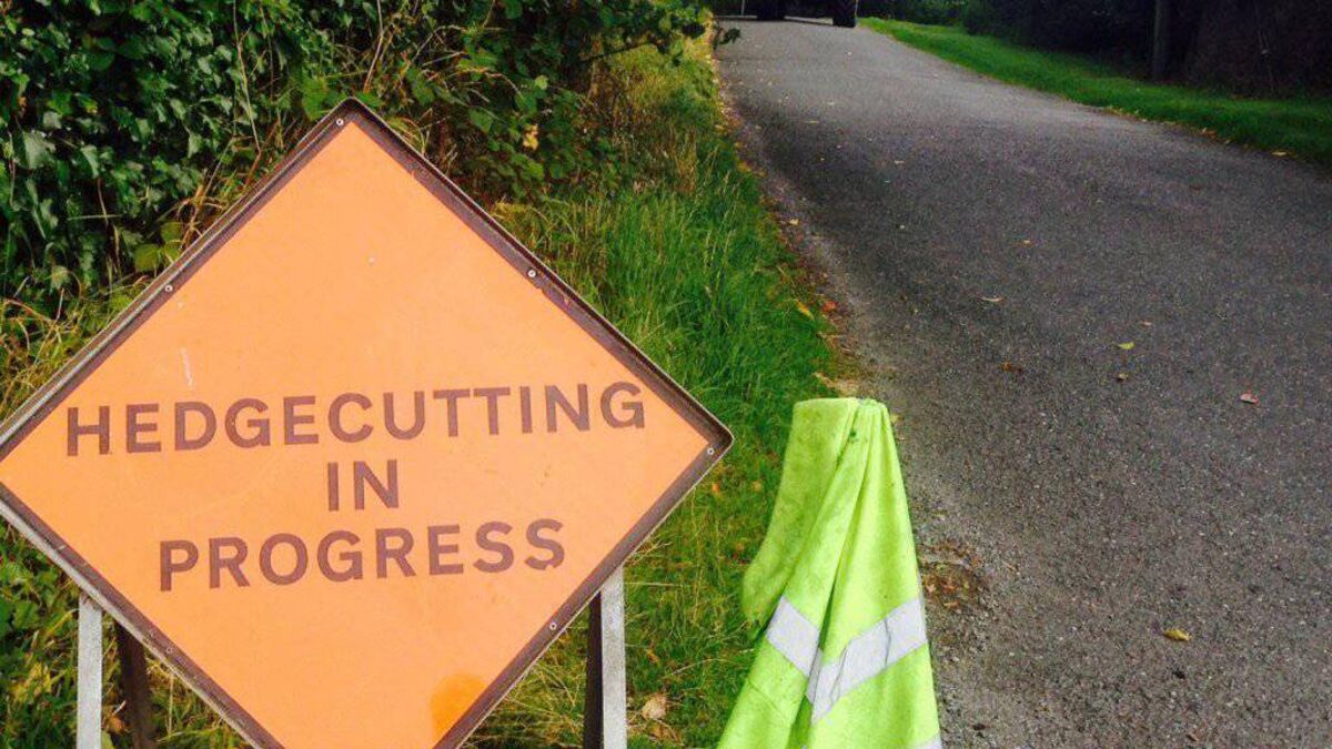 Overgrown verges are 'creating a deathtrap' on Mayo roads