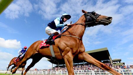 Ballinrobe Races: Upcoming meetings, what's on and everything you need to know