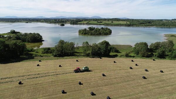 A sedate scenic Carra Country Scene - Baling on a lake shore field with the distant Nephin hills in the background. Picture by Tom Quinn. A sedate scenic Carra Country Scene - Baling on a lake shore field with the distant Nephin hills in the background. Picture by Tom Quinn.