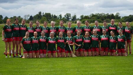 Green and Red have shot at camogie crown
