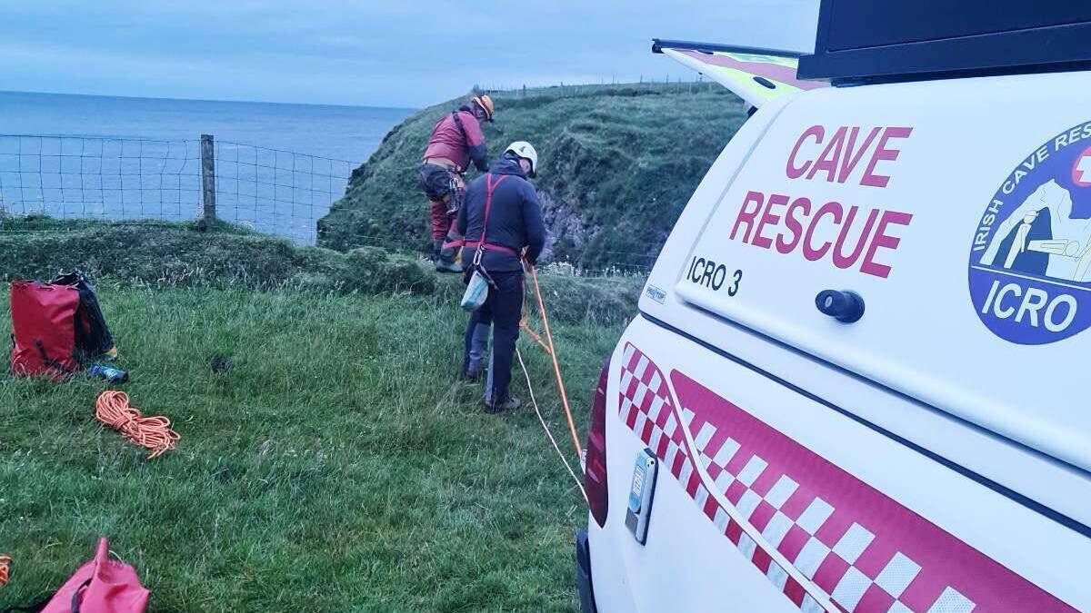 Daring operation to rescue stranded dog from sea cave