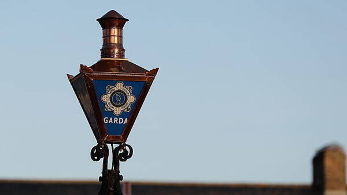 Cannabis worth €1.6 million seized in Cork