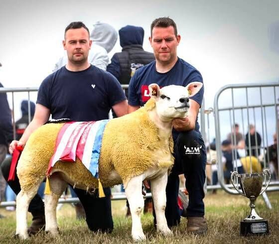 Frenchbrook Texals winning overall Champion Texal with their ram at the Enniscrone Show
